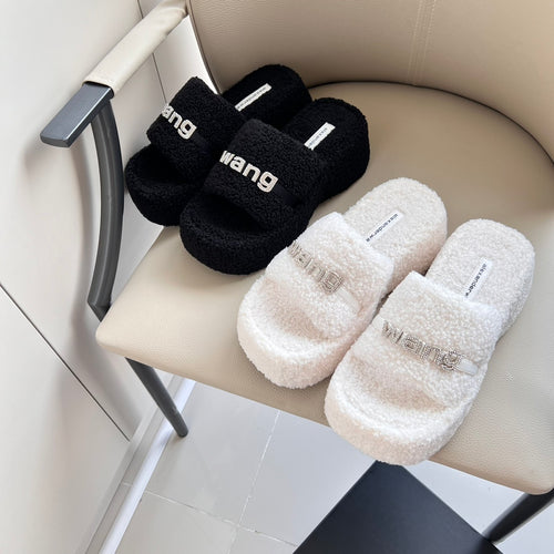 Wang Platform Slides
