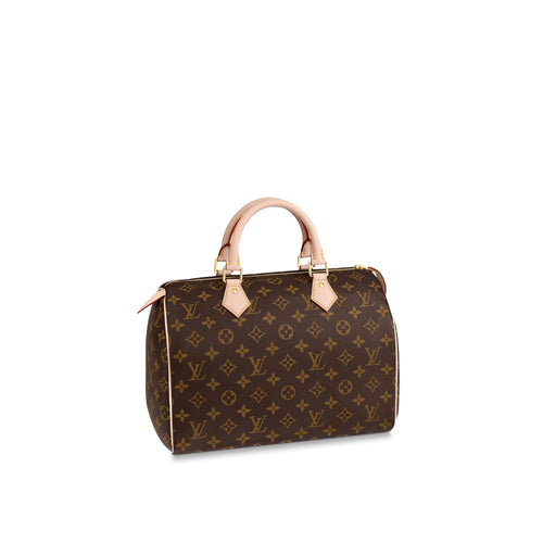 LV Speedy 30 Bag