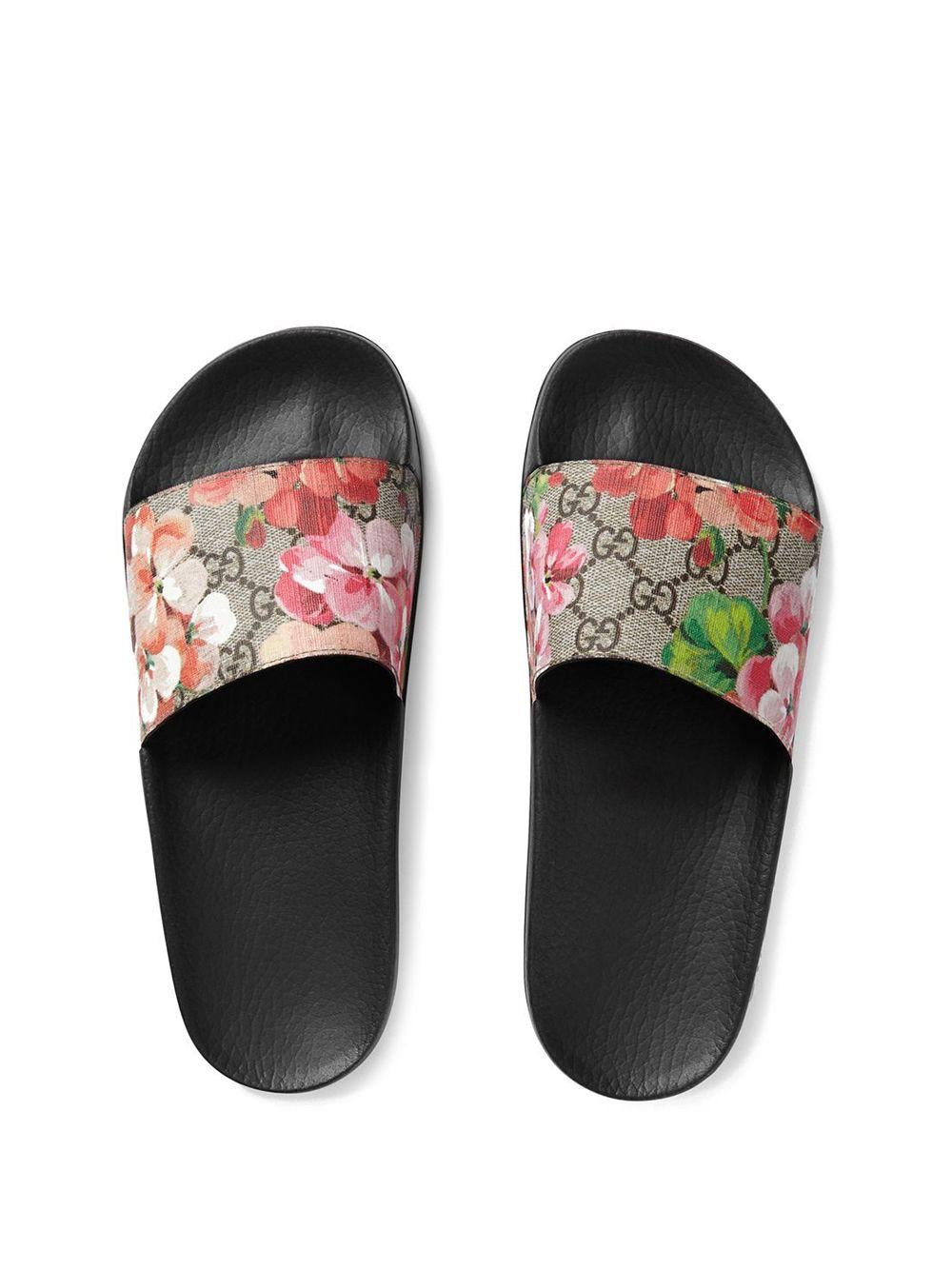 Gg bloom slides on sale