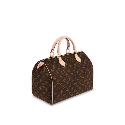 LV Speedy 30 Bag